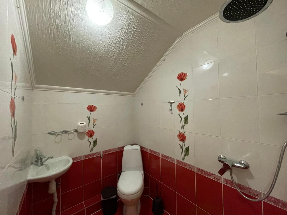 Villa Aeroport Розовый Дом Chişinau Exteriör bild