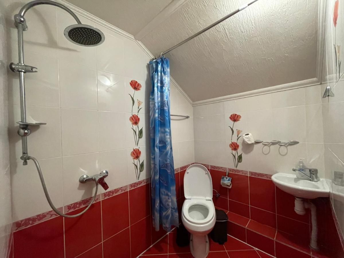 Villa Aeroport Розовый Дом Chişinau Exteriör bild
